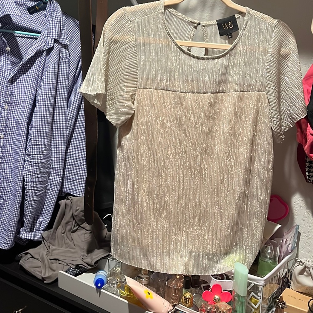 Sparkly Chiffon Top